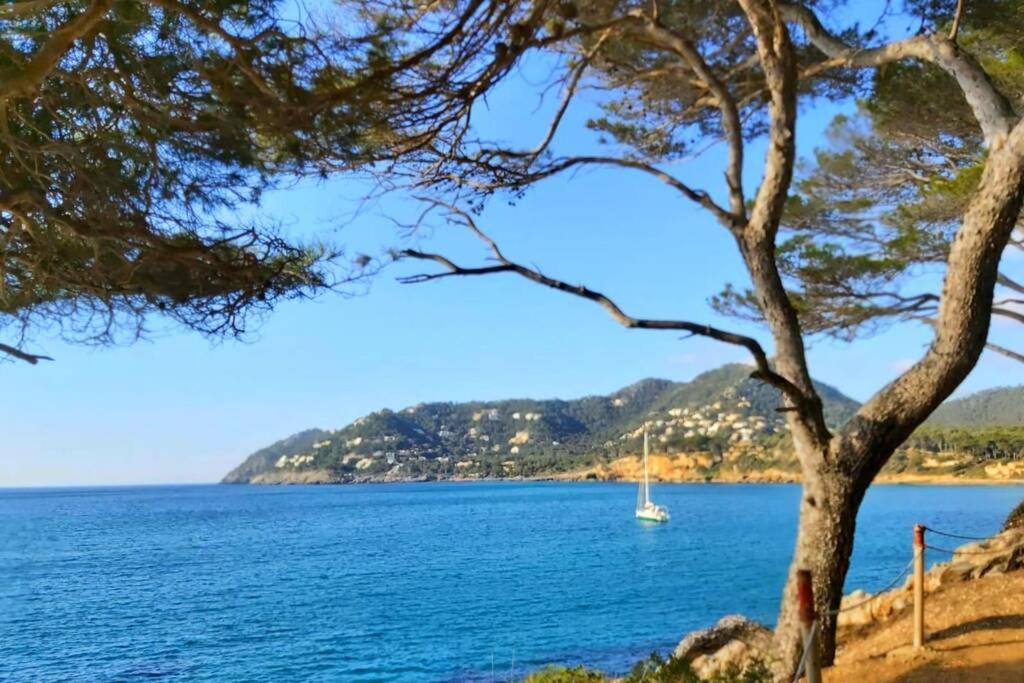 Aptment 4A Sa Calobra With Pool & Terrace Canyamel Капдепера Екстериор снимка